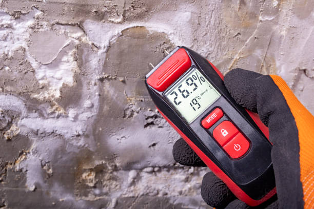 Best Office Mold Removal Services  in Underwood, IA
